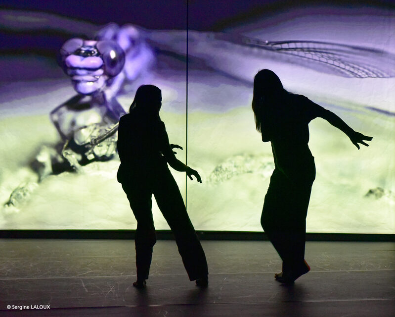 Zwei Tänzerinnen als Schattenriss vor einer Leinwand, auf die ein Bild projiziert ist