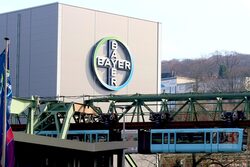 Die Schwebebahn fährt am Bayer-Werk vorbei.