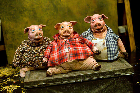 Drei kleine Schweinchen