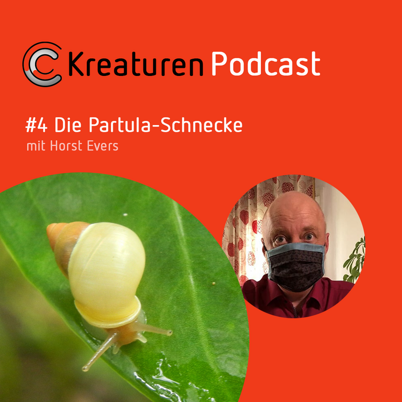 Kreaturen Podcast #4 Die Partula-Schnecke