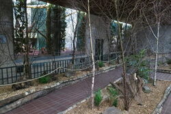 Umgestalteter Besucherraum des Großkatzenhauses mit Mulchwegen und Bepflanzung