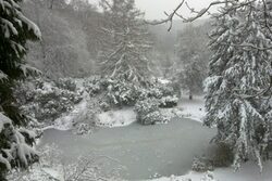 Ein vereister Teich und schneebedeckte Bäume in den Barmer Anlagen