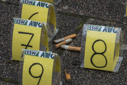 Weggeworfene Zigarettenstummel mit Nummernschilder deutlich gemacht