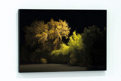Andreas Komotzki, Fleurs Nocturnes, 2018, UV-Druck auf Holz, 40 x 60 x 3,5 cm
