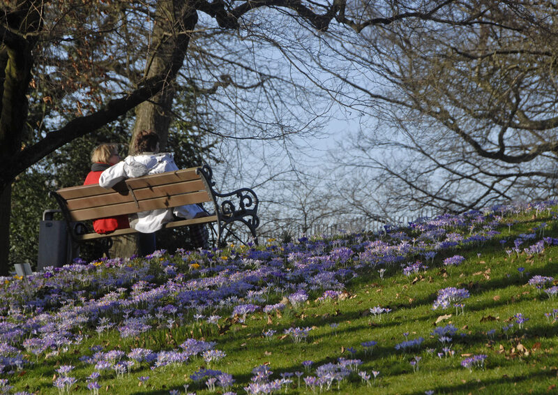 Zwei Frauen sitzen auf einer Bank im Botanischen Garten. Auf der Wiese blühen viele lila Krokusse.