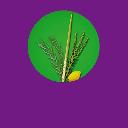 Oberer Teil eines Doppelplakats zum jüdischen Laubhüttenfest Sukkot. Vor grünem Hintergrund sind die vier traditionellen Pflanzenarten dargestellt: ein Palmzweig (Lulaw), Myrtenzweige, Bachweiden und ein Etrog (Zitronatzitrone). Das Plakat informiert über Sukkot als Laubhüttenfest sowie den Zeitraum vom 25. September bis 2. Oktober 2026. Der untere Teil des Doppelmotivs zeigt den Versöhnungstag Jom Kippur.