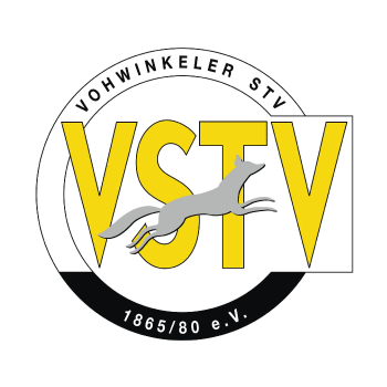 Logo VSTV