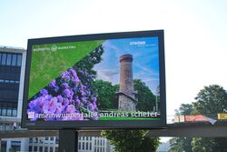 Gewinnerbild der Fotoaktion Grünes Wuppertal