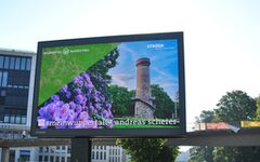 Gewinnerbild der Fotoaktion Grünes Wuppertal