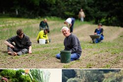 Impressionen von der Arbeit auf dem Feld und dem Gemüse aus der Troxler Gärtnerei.