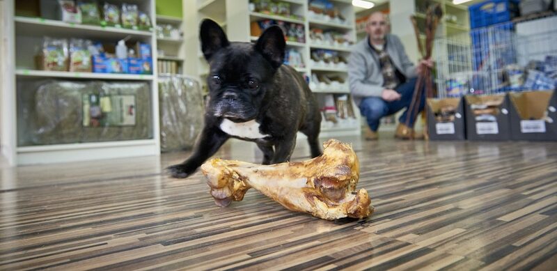 Ein Hund läuft zu einem Knochen. Im Hintergrund sitzt Mike Neeb, Inhaber vom Futterbuddy.