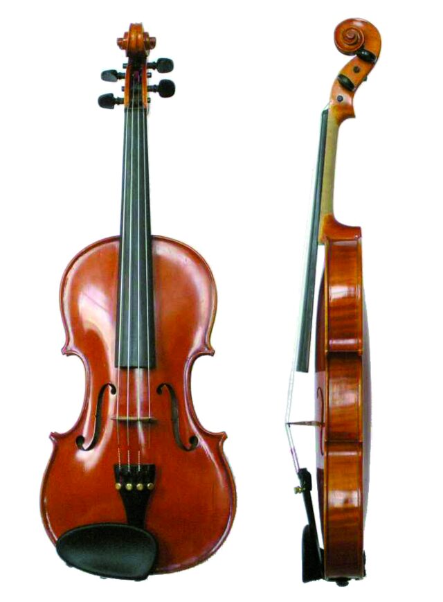 Violine / Geige