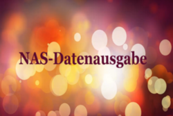 Startbild des Filmes mit Text "NAS-Datenausgabe"