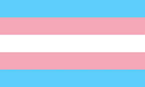 Trans Flagge