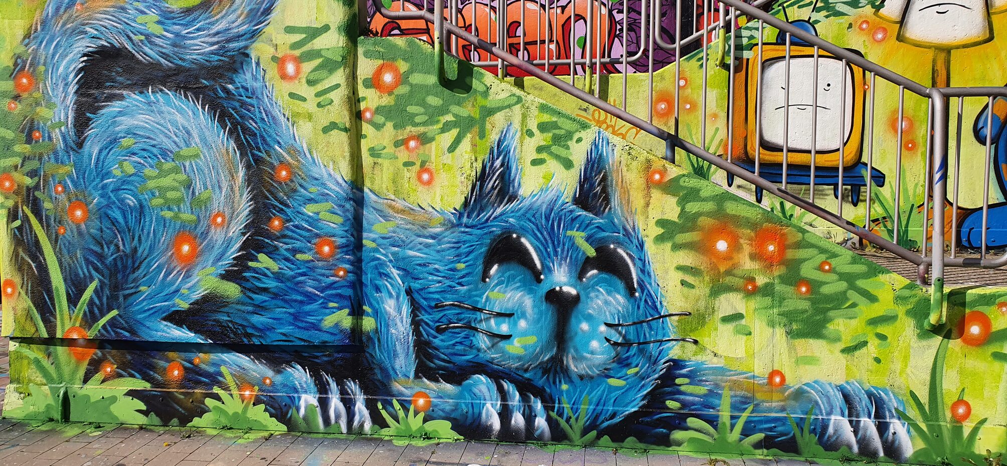 Blue Cat Graffiti