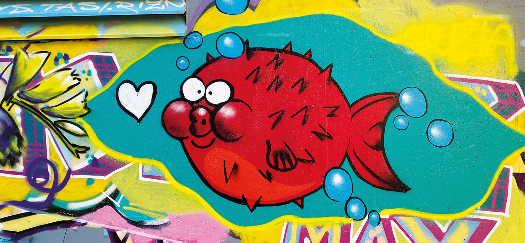 Kugelfisch Grafitti