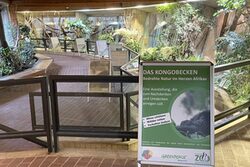 Ausstellung das Kongobecken im Grünen Zoo