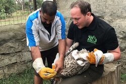 Geier-Workshop in Kenia mit Unterstützung durch den Grünen Zoo Wuppertal