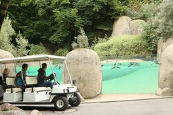 Zoomobil vor der Anlage der Eselspinguine im Grünen Zoo Wuppertal