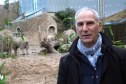 Dr. Arne Lawrenz vor der Elefantenanlage im Grünen Zoo Wuppertal