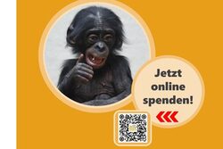 Online Spenden an den Zoo-Verein Wuppertal.e.V.