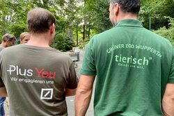 Social Day: Deutsche Bank packt im Grünen Zoo kräftig mit an