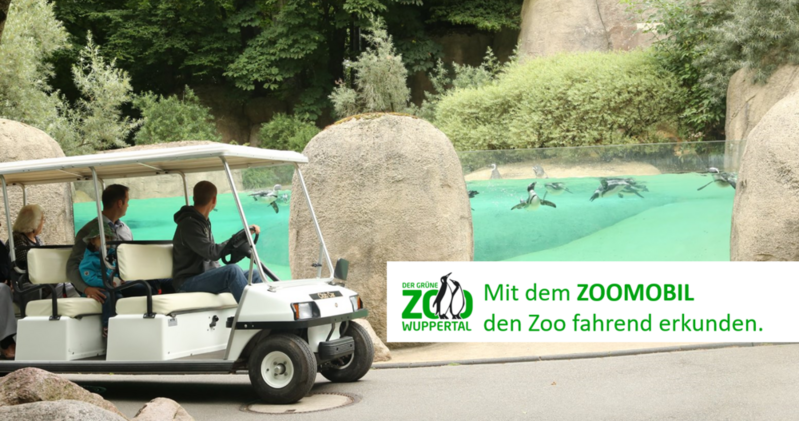 Zoomobilfahrt. Das Zoomobil im Grünen Zoo vor der Anlage für Brillenpinguine