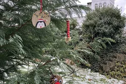 Tannenbaumschmuck im Grünen Zoo Wuppertal