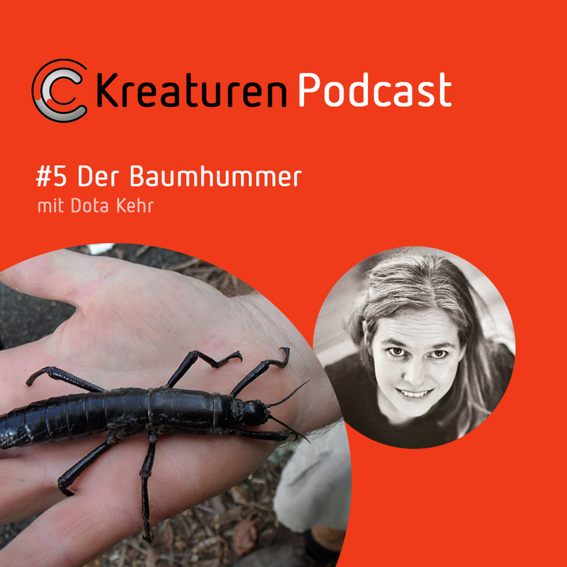 Kreaturen Podcast# 5 Der Baumhummer