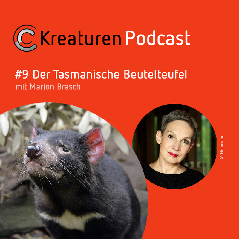 Kreaturen Podcast #Der Tasmanische Beutelteufel