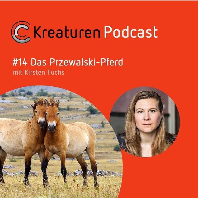 Kreaturen Podcast #14 Das Przewalski-Pferd