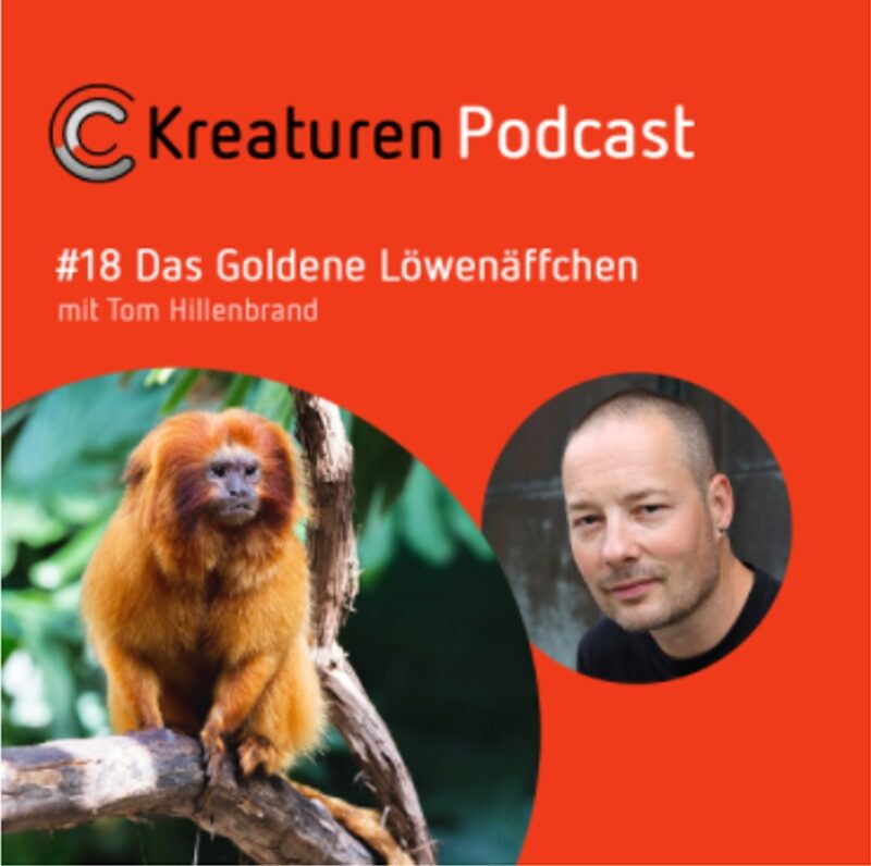 Kreaturen Podcast #18 Das Goldene Löwenäffchen