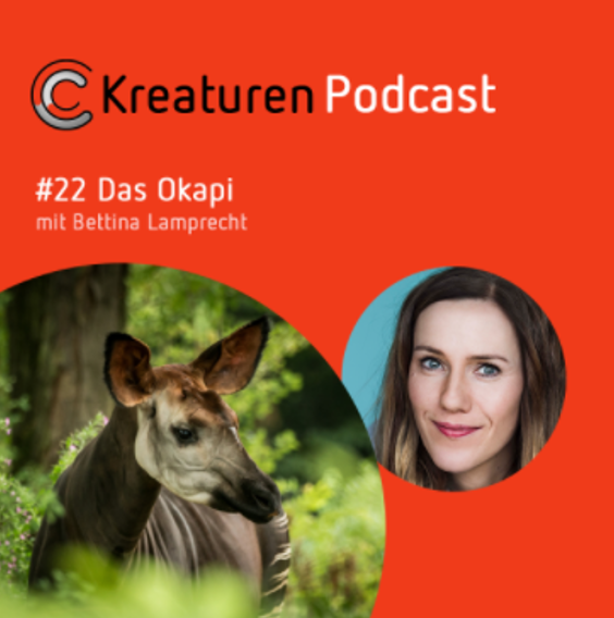 Kreaturen Podcast #22 Das Okapi