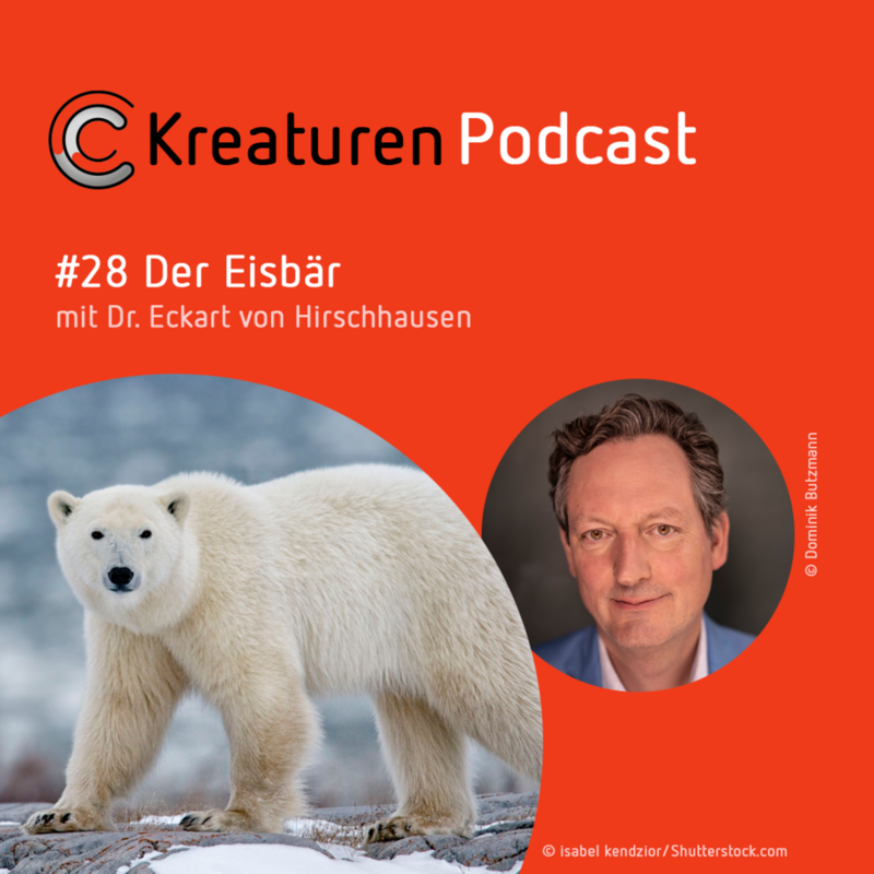 Kreaturen Podcast #28 Der Eisbär