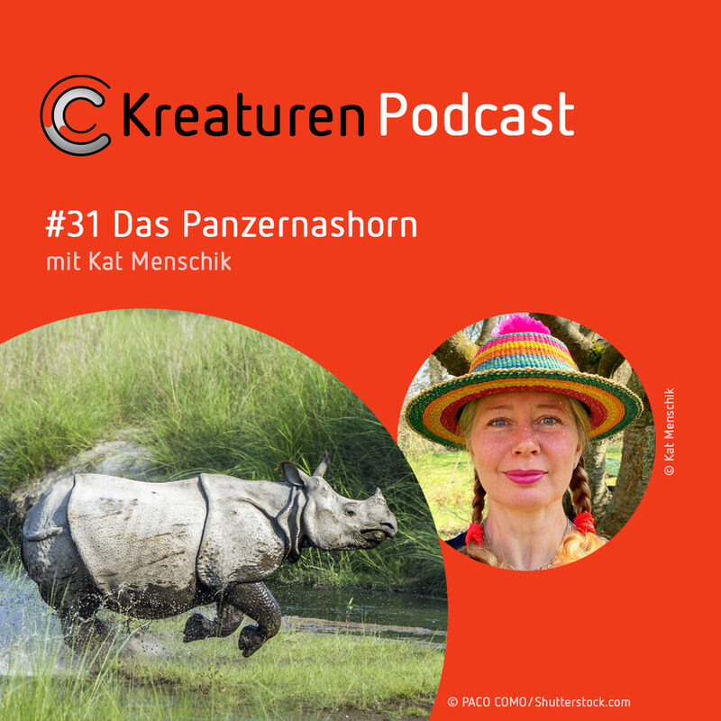 Kreaturen Podcast #31 Das Panzernashorn