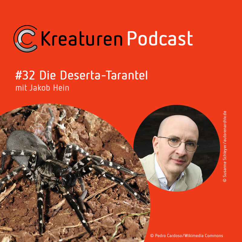 Kreaturen Podcast #32 Die Deserta-Tarantel