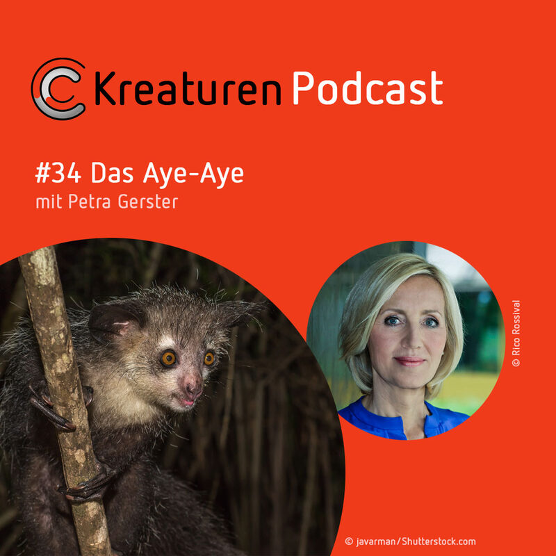 Kreaturen Podcast #34 Das Aye-Aye