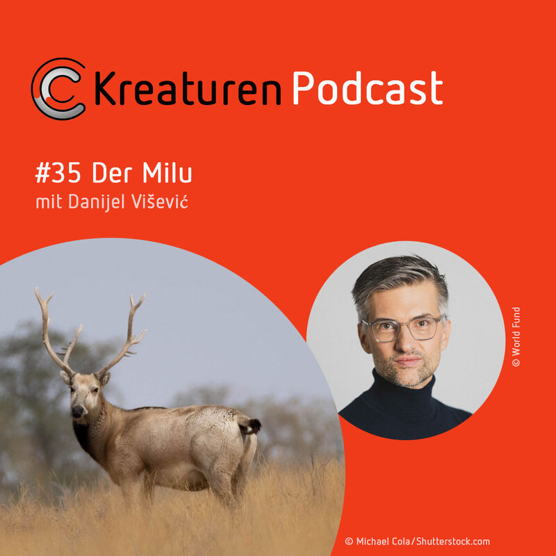 Kreaturen Podcast #35 Der Milu