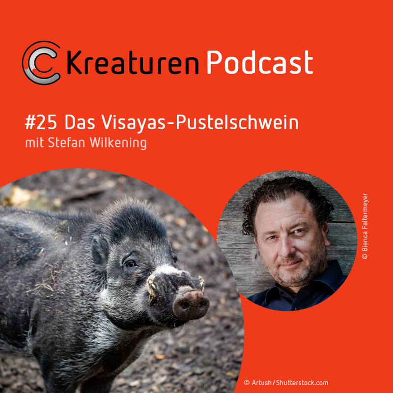 Kreaturen Podcast #25 Das Visayas-Pustelschwein