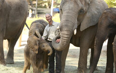 Arne und Elefanten
