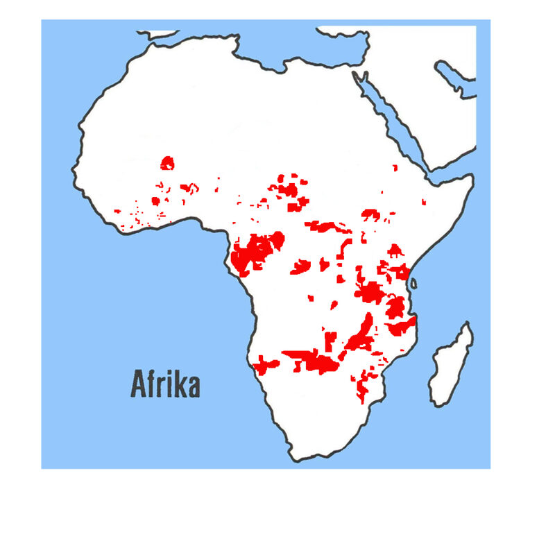 Verbreitungskarte Afrikanischer Elefant