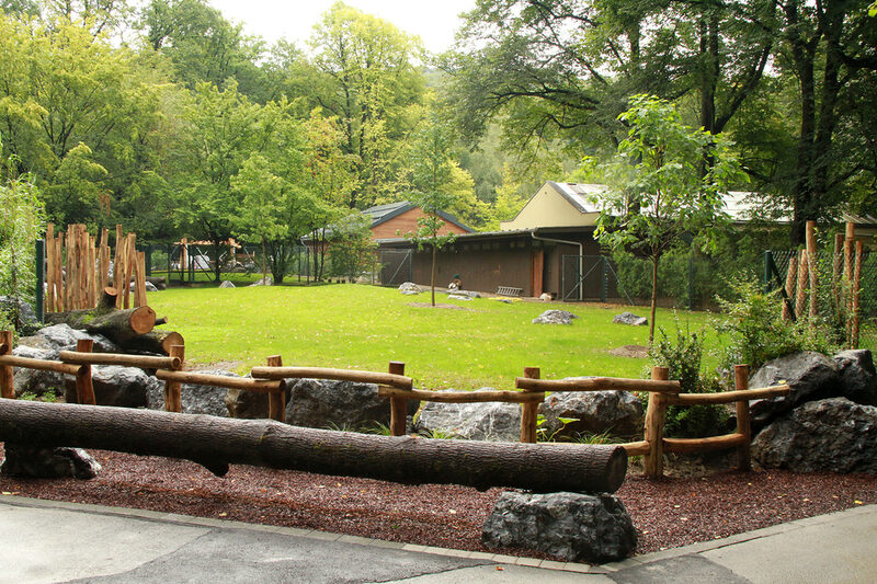 Außenanlage Okapis