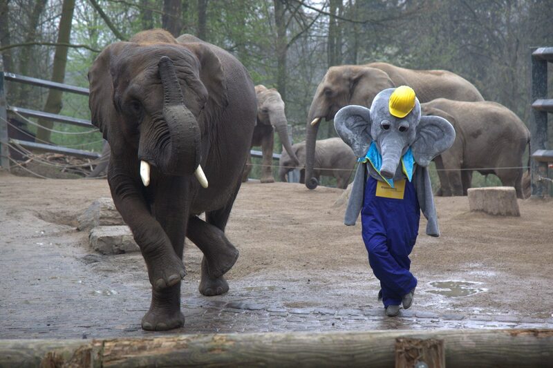 Döppi und der Elefant zeigen gemeinsam ein Kunstück
