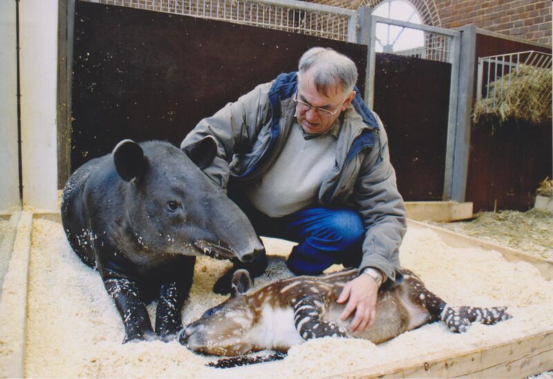 Dr. Schürer mit Tapir