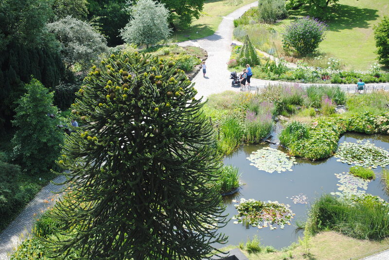 Blick vom Elisenturm auf den Botanischen Garten