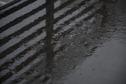 Regenpfütze mit Tropfen auf Asphalt - Nahaufnahme