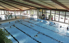 Schwimmbecken im Gartenhallenbad Cronenberg