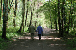 Ein Mann und eine Frau beim Spazierengehen im Wald