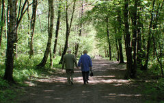 Ein Mann und eine Frau beim Spazierengehen im Wald