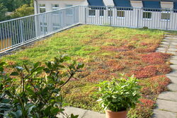 Ein Dach mit Grünpflanzen und Geländer